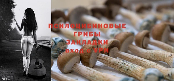 мяу мяу кристалл Лабытнанги