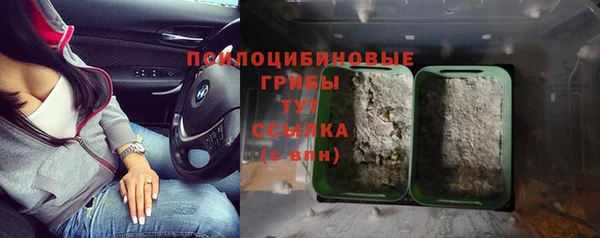 мяу мяу кристалл Лабытнанги