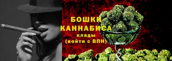 стаф Кулебаки