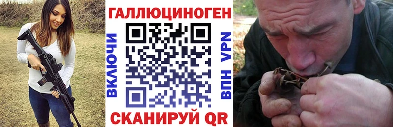 Галлюциногенные грибы Cubensis  shop как зайти  Павлово 