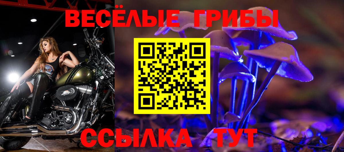 купить  сайты  Вход с VPN  Павлово  Псилоцибиновые грибы Psilocybine cubensis  Галлюциногенные грибы Psilocybine cubensis 